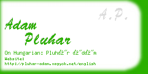 adam pluhar business card